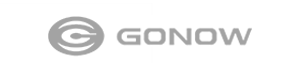 GONOW GONOW