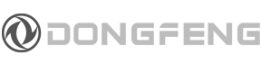 DFM (DONGFENG) DFM (DONGFENG)